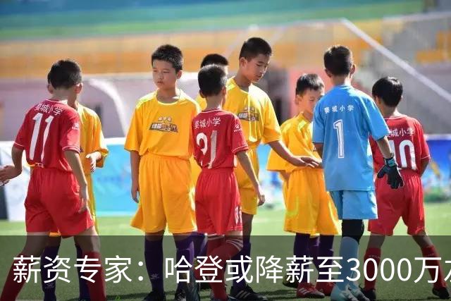 薪资专家：哈登或降薪至3000万左右 助骑士避开第二土豪线